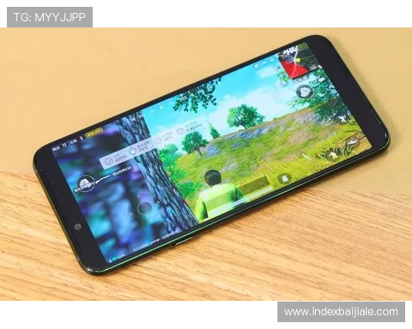 探索凯发ag旗舰官网丰富的游戏种类与专业客服支持体验极致娱乐享受