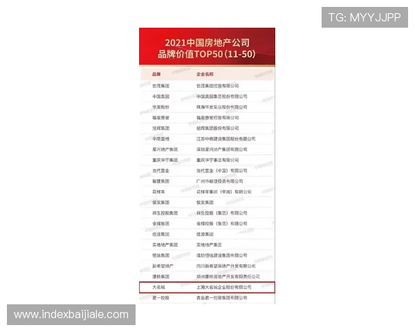 深入理解百家乐红蓝图的运用方法，助你在游戏中实现稳健盈利