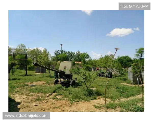 欧博真人官方网站全面介绍平台特色、优惠活动及注册流程详解