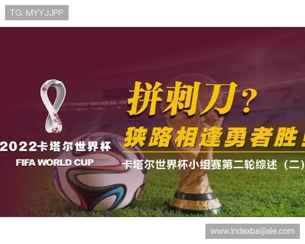 世界杯土耳其美国比赛现场观赛指南：购票、交通及现场注意事项详解